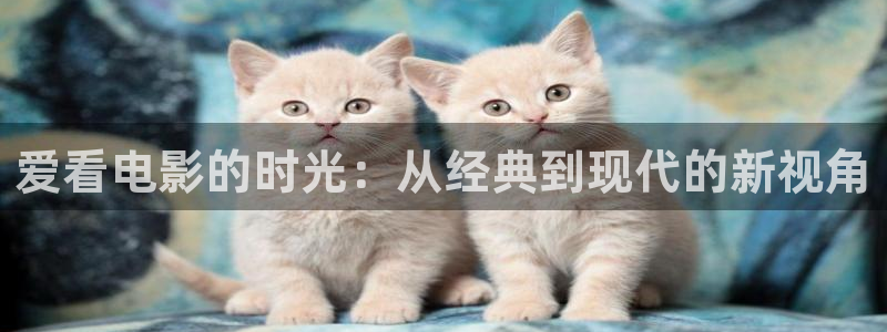 丝瓜视频在线观看下载