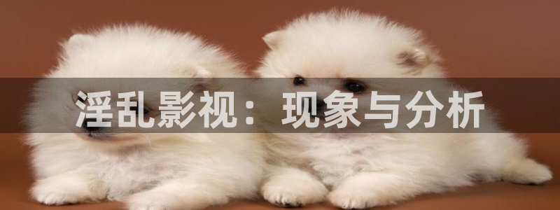 丝瓜视频无限观看